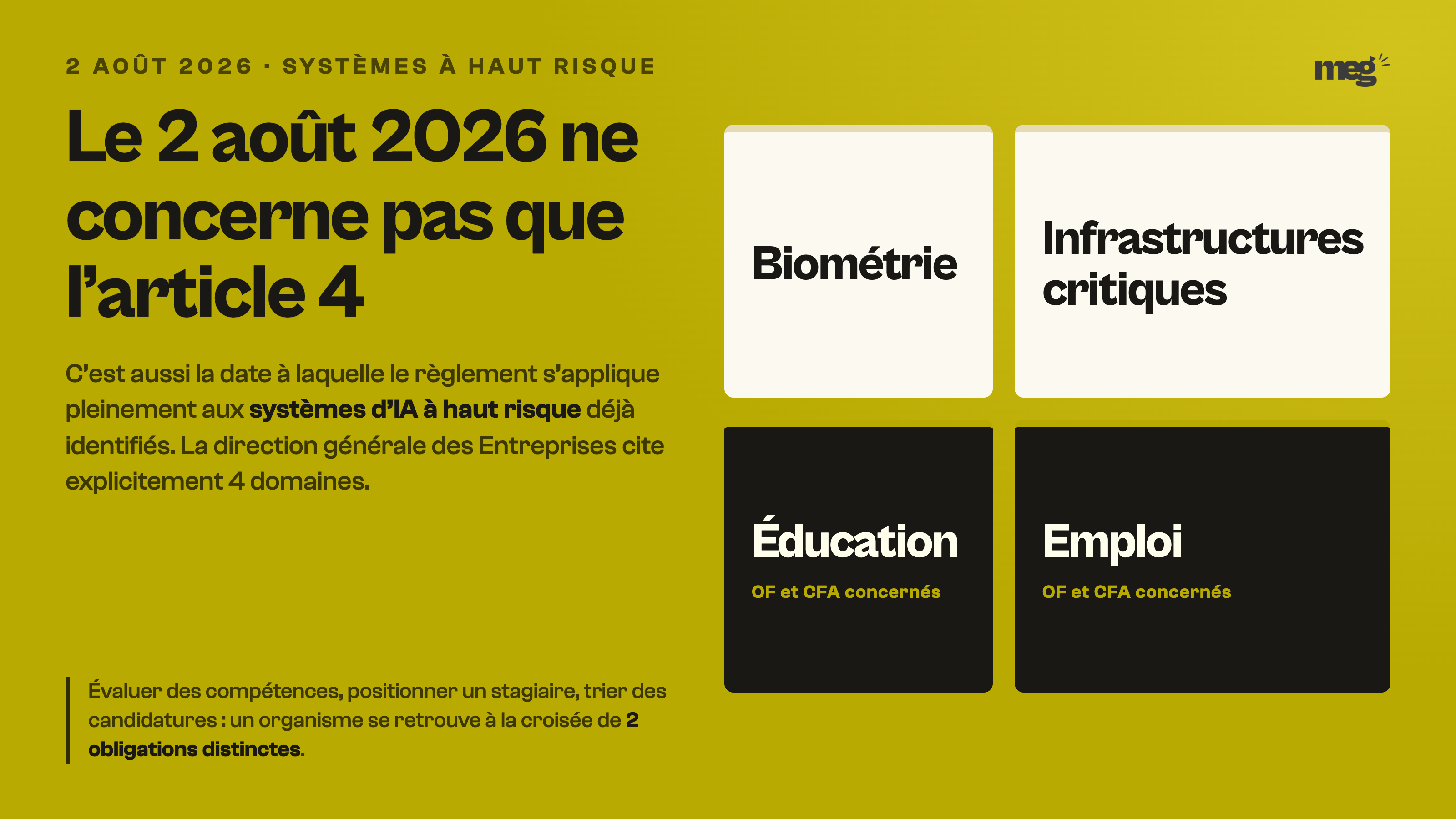 Sur fond doré, une grille de quatre domaines à haut risque met en noir Éducation et Emploi, les deux qui concernent directement les organismes de formation.